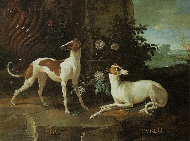 971px-Misse_and_Turlu,_Two_Greyhounds_Belonging_to_Louis_XV.jpg