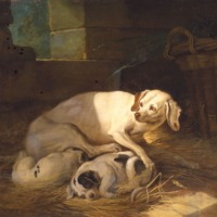 oudry-chienne.jpg