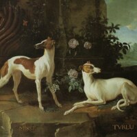 971px-Misse_and_Turlu,_Two_Greyhounds_Belonging_to_Louis_XV.jpg