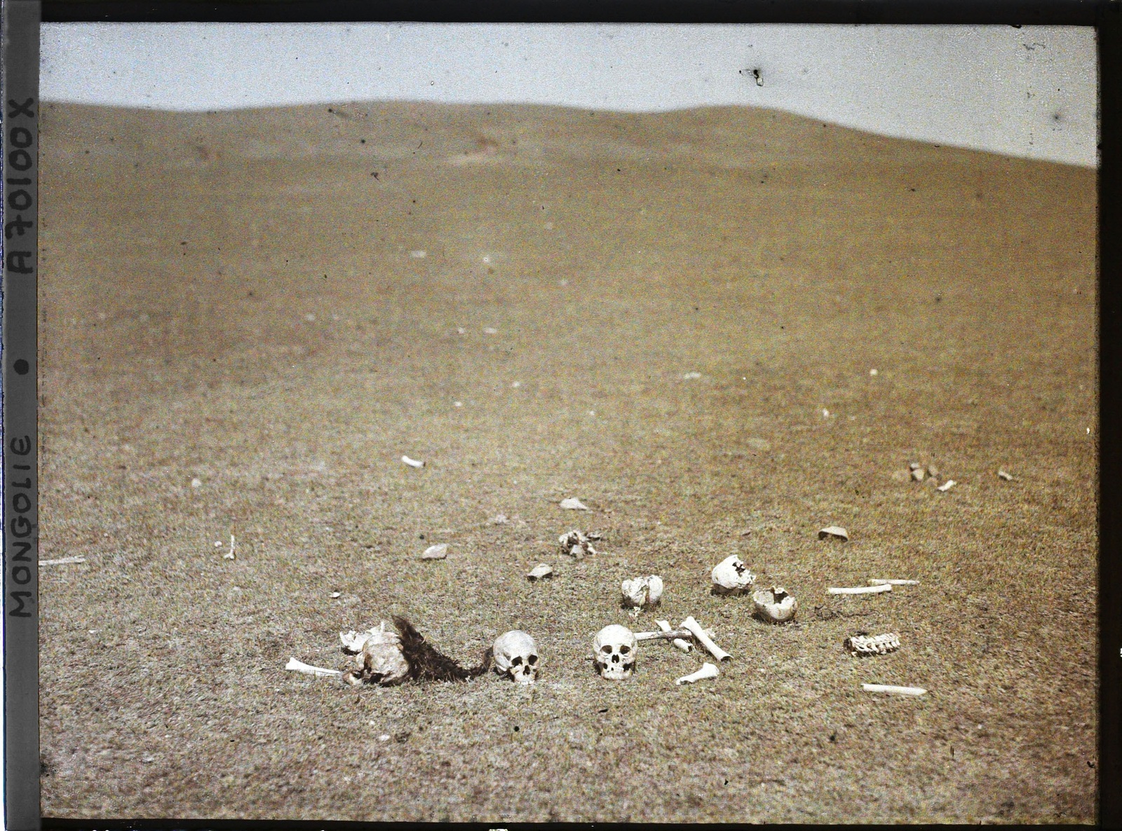 Des ossements humains