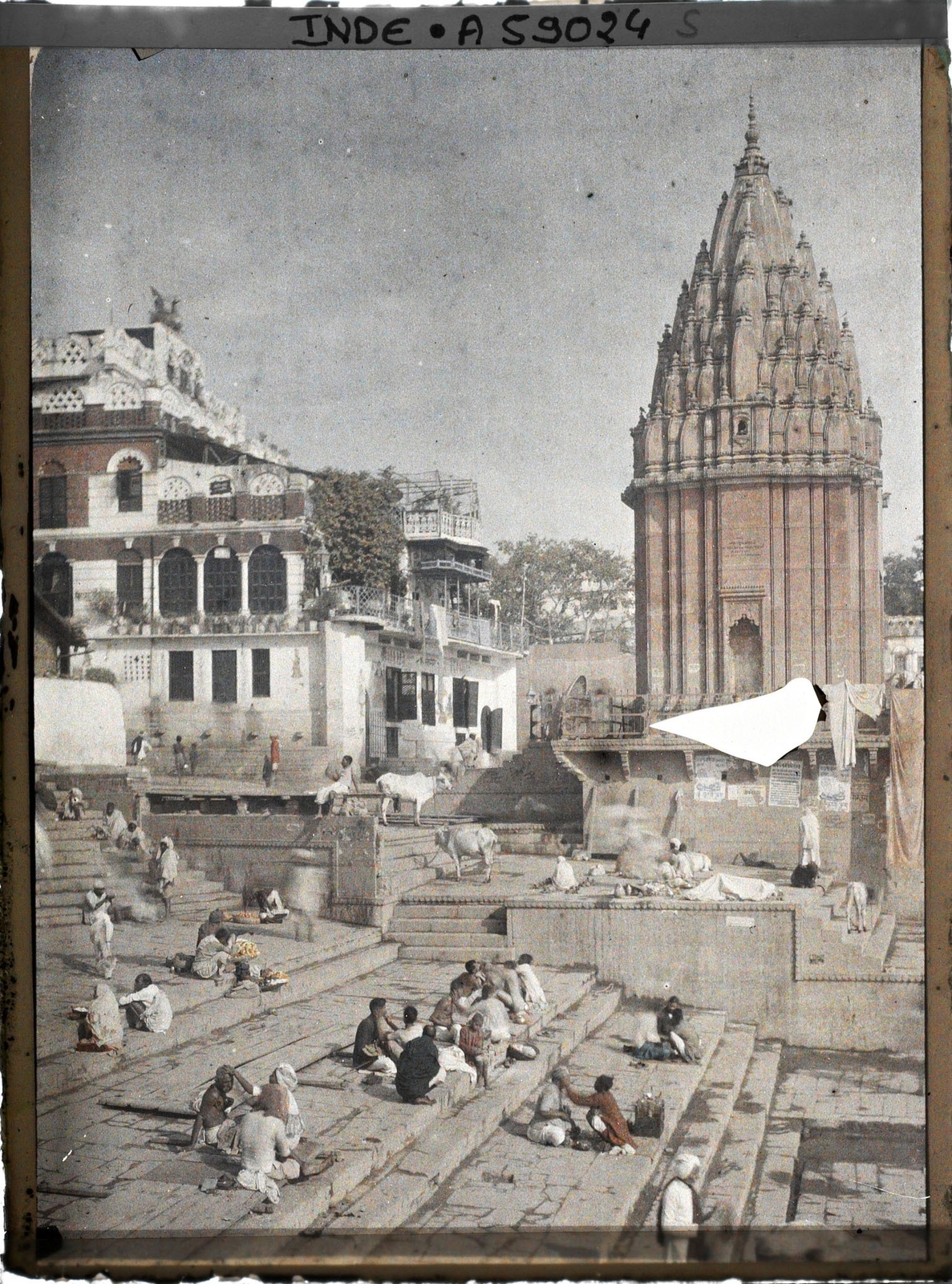 Pèlerins et vaches sacrées sur les ghats