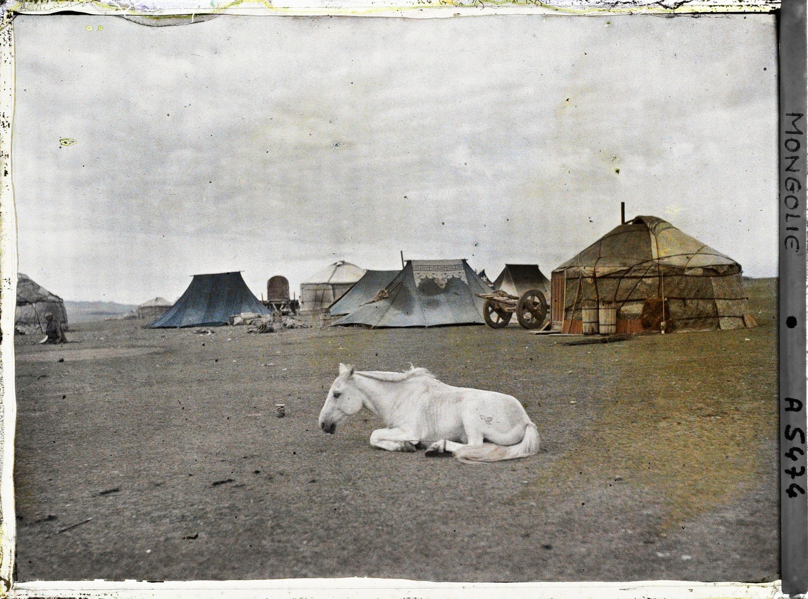 Un cheval couché devant un campement de tentes et de yourtes
