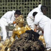 Restauratrices travaillant sur les bassins